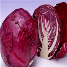 紫包菜