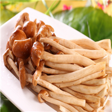 茶树菇